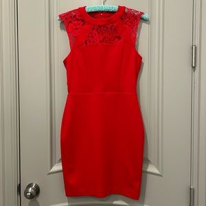 Express Sleeveless Lace Yoke Sheath Dress